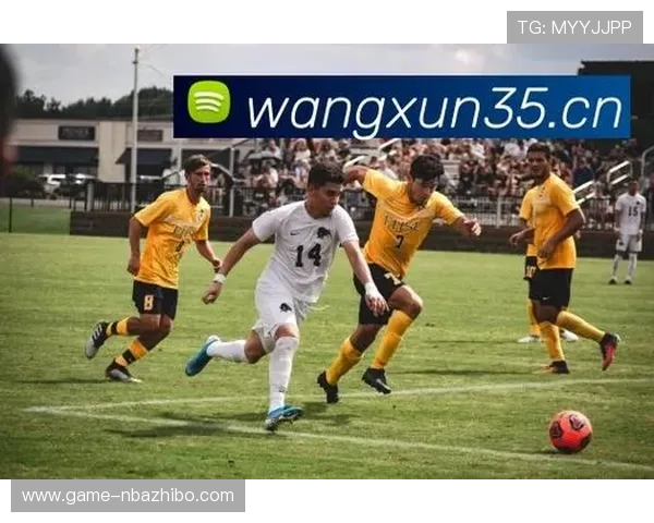 ayx体育娱乐平台专业的客户服务团队全天在线，为用户提供快速高效的咨询与技术支持